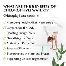 Load image into Gallery viewer, Chlorophyll Water - Chlorophyll Water® (Case of 12): Purified Mountain Spring Water with Essential Vitamins by Chlorophyll Water - | Delivery near me in ... Farm2Me #url#