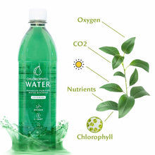 Load image into Gallery viewer, Chlorophyll Water - Chlorophyll Water® (Case of 12): Purified Mountain Spring Water with Essential Vitamins by Chlorophyll Water - | Delivery near me in ... Farm2Me #url#