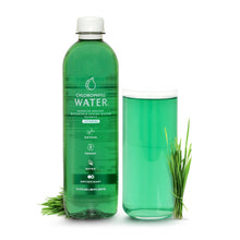 Load image into Gallery viewer, Chlorophyll Water - Chlorophyll Water® (Case of 6): Purified Mountain Spring Water with Essential Vitamins by Chlorophyll Water - | Delivery near me in ... Farm2Me #url#