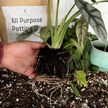 Load image into Gallery viewer, Elm Dirt - All-Purpose Soil Mix by Elm Dirt - Farm2Me - carro-6361692 - -