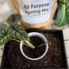 Load image into Gallery viewer, Elm Dirt - All-Purpose Soil Mix by Elm Dirt - Farm2Me - carro-6361692 - -