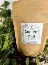 Load image into Gallery viewer, Elm Dirt - Ancient Soil by Elm Dirt - Farm2Me - carro-6361676 - 692278408390 -