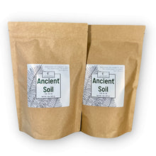 Load image into Gallery viewer, Elm Dirt - Ancient Soil by Elm Dirt - Farm2Me - carro-6361677 - 692278408390 -