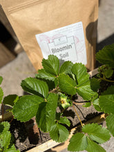 Load image into Gallery viewer, Elm Dirt - Bloom Power Bundle by Elm Dirt - Farm2Me - carro-6361682 - -