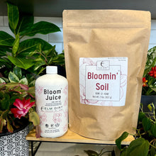 Load image into Gallery viewer, Elm Dirt - Bloom Power Bundle by Elm Dirt - Farm2Me - carro-6361682 - -