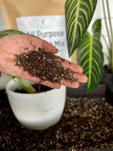 Load image into Gallery viewer, Elm Dirt - Elm Dirt Starter Kit by Elm Dirt - Farm2Me - carro-6361681 - -