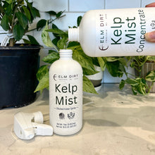 Load image into Gallery viewer, Elm Dirt - Kelp Mist by Elm Dirt - Farm2Me - carro-6361693 - -