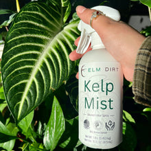 Load image into Gallery viewer, Elm Dirt - Kelp Mist by Elm Dirt - Farm2Me - carro-6361693 - -