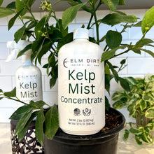 Load image into Gallery viewer, Elm Dirt - Kelp Mist by Elm Dirt - Farm2Me - carro-6361693 - -