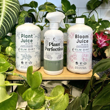 Load image into Gallery viewer, Elm Dirt - Plant Care Kit by Elm Dirt - Farm2Me - carro-6361662 - -