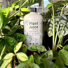 Load image into Gallery viewer, Elm Dirt - Plant Juice by Elm Dirt - Farm2Me - carro-6361665 - 692278408376 -