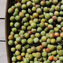 Load image into Gallery viewer, Girl Meets Dirt - Girl Meets Dirt Greengage & Grapefruit Spoon Preserves (Limited Edition) - Spoon Preserves | Delivery near me in ... Farm2Me #url#