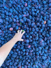 Load image into Gallery viewer, Girl Meets Dirt - Girl Meets Dirt Island Plum Spoon Preserves - Spoon Preserves | Delivery near me in ... Farm2Me #url#
