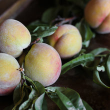 Load image into Gallery viewer, Girl Meets Dirt - Girl Meets Dirt Peach Tree Bitters - Bitters | Delivery near me in ... Farm2Me #url#