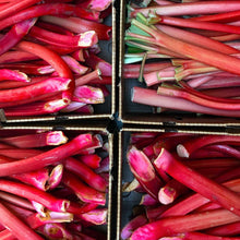 Load image into Gallery viewer, Girl Meets Dirt - Girl Meets Dirt Rhubarb Shrub - Shrubs | Delivery near me in ... Farm2Me #url#