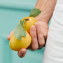 Load image into Gallery viewer, Girl Meets Dirt - Girl Meets Dirt Shiro Plum w/ Mint Spoon Preserves - Spoon Preserves | Delivery near me in ... Farm2Me #url#