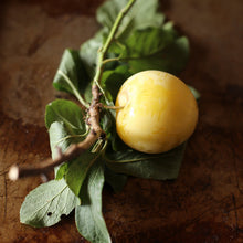 Load image into Gallery viewer, Girl Meets Dirt - Girl Meets Dirt Shiro Plum w/ Mint Spoon Preserves - Spoon Preserves | Delivery near me in ... Farm2Me #url#
