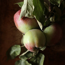 Load image into Gallery viewer, Salted Apple Caramel Spoon Preserves