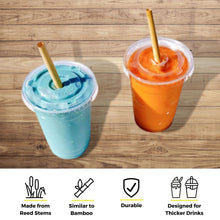Load image into Gallery viewer, Holy City Straw Company - Cocktail Reed Straws by Holy City Straw Company - | Delivery near me in ... Farm2Me #url#