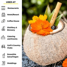 Load image into Gallery viewer, Holy City Straw Company - Cocktail Reed Straws by Holy City Straw Company - | Delivery near me in ... Farm2Me #url#