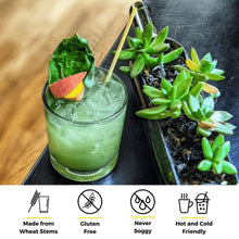 Load image into Gallery viewer, Holy City Straw Company - Holy City Straw Cocktail Wheat Straws by Holy City Straw Company - | Delivery near me in ... Farm2Me #url#