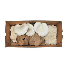Load image into Gallery viewer, Certified Organic Exotic ShroomBox