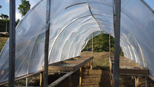 Load image into Gallery viewer, Nossa Familia Coffee - Nicaragua - Finca San Jose de las Nubes - Washed Process by Nossa Familia Coffee - | Delivery near me in ... Farm2Me #url#