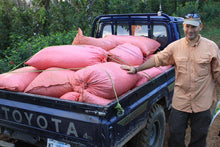 Load image into Gallery viewer, Nossa Familia Coffee - Nicaragua - Finca San Jose de las Nubes - Washed Process by Nossa Familia Coffee - | Delivery near me in ... Farm2Me #url#
