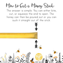 Load image into Gallery viewer, Sister Bees - Pure Northern Michigan Honey Sticks 3pk by Sister Bees - Farm2Me - carro-6364838 - -