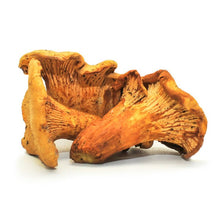 Load image into Gallery viewer, The Mushroom Hub - Dried Wild Mushrooms Assortment - Dried Wild Mushrooms | Delivery near me in ... Farm2Me #url#