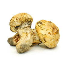 Load image into Gallery viewer, The Mushroom Hub - Dried Wild Mushrooms Assortment - Dried Wild Mushrooms | Delivery near me in ... Farm2Me #url#