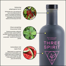 Load image into Gallery viewer, Three Spirit US - The Sunshine Sessions Set by Three Spirit US - Farm2Me - carro-6367062 - -