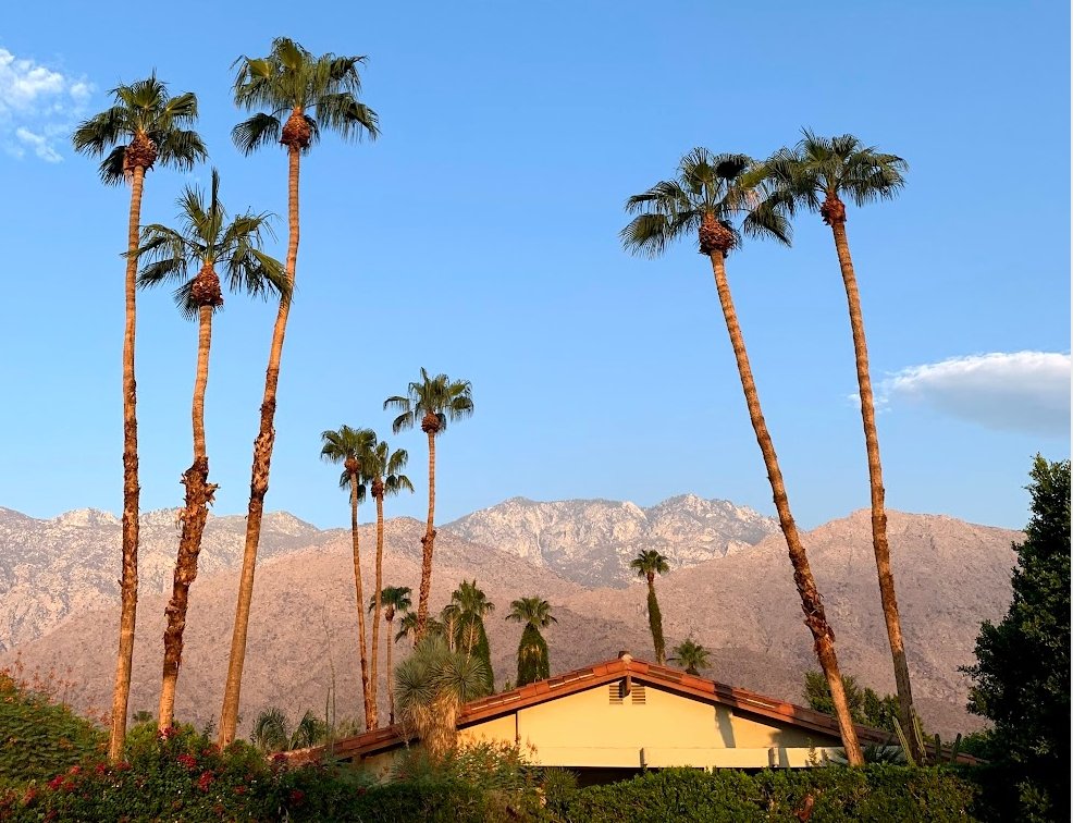 10 Things To Do In Palm Springs 2022 - Farm2Me