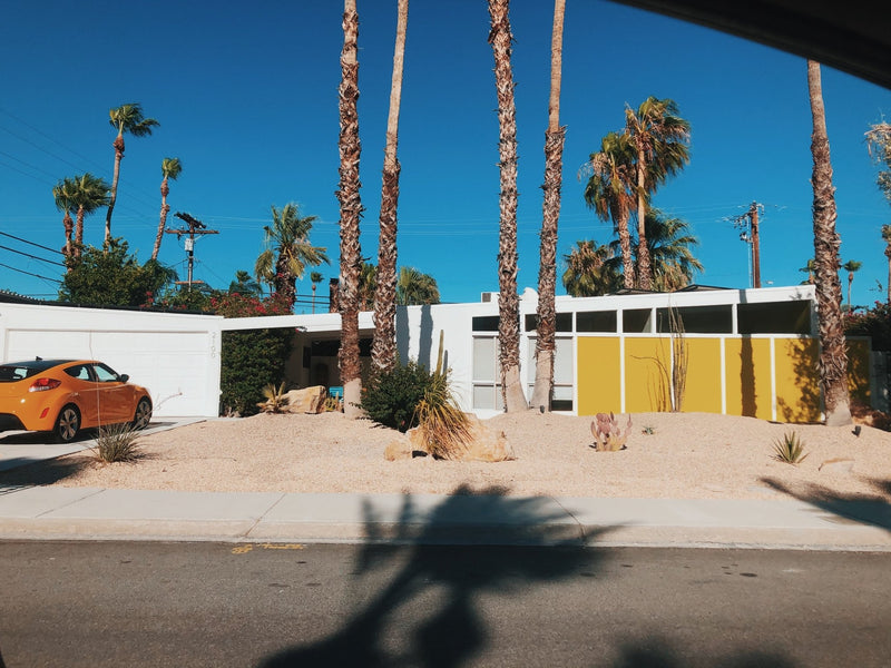 The Palm Springs Guide
