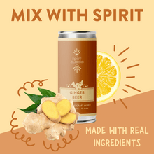 Load image into Gallery viewer, Root Elixirs Variety Pack | Root Elixirs Sparkling Premium Cocktail Mixers- 8 Cans 7.5oz
