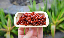 Load image into Gallery viewer, 2 x 4 Inch Rectangle Palm Leaf Mini Trays - 600 pcs
