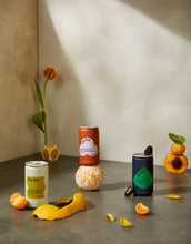 Load image into Gallery viewer, De Soi Variety Pack Cans case
