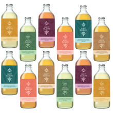 Load image into Gallery viewer, Root Elixirs Mix &amp; Match 12 pack Bottles | Root Elixirs Sparkling Premium Cocktail Mixers Bottles - 12 pack x 12 oz bottles
