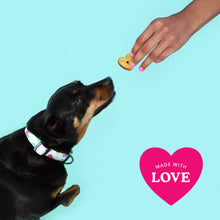 Load image into Gallery viewer, Ava&#39;s Pet Palace Organic Dog Treat Bag - Bundle 3 Flavors Bags
