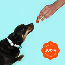 Load image into Gallery viewer, Ava&#39;s Pet Palace Crunchy Jerky Dog Treats Bag - Snappin&#39; Salmon
