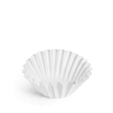 Load image into Gallery viewer, Aiden Precision Coffee Maker Brew Filters
