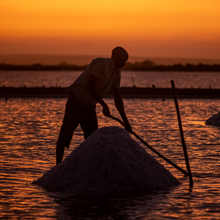 Load image into Gallery viewer, Wind-Blown Sea Salt
