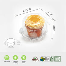 Load image into Gallery viewer, Single 3&quot; Classic Cupcake &amp; Muffin Package (0111)
