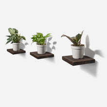 Load image into Gallery viewer, Formr Chopped plant shelf
