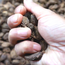 Load image into Gallery viewer, Smoked Black Cardamom - Burlap &amp; Barrel
