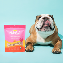 Load image into Gallery viewer, Ava&#39;s Pet Palace Organic Baked Dog Treats Bag - Cheeze Pleeze
