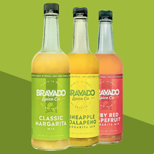 Load image into Gallery viewer, CLASSIC MARGARITA MIXER
