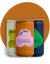 Load image into Gallery viewer, De Soi Variety Pack Cans case
