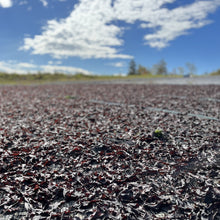 Load image into Gallery viewer, Purple Dulse Flakes
