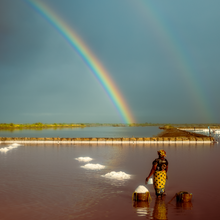 Load image into Gallery viewer, Wind-Blown Sea Salt
